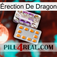 Érection De Dragon new12